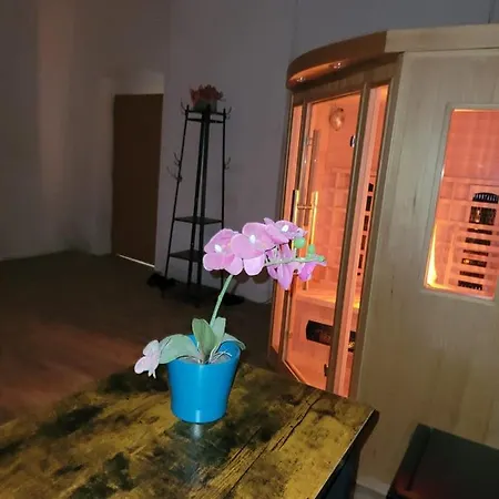 Holiday park Chateau Moravany - Apartmany, Teepee A Wellness